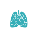 肺部3D打印